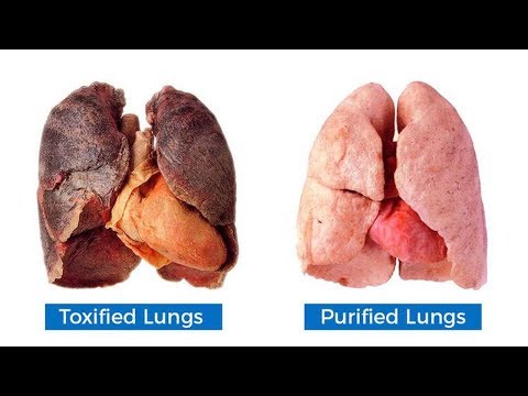 How To Purify And Detox Your Lungs Within 72 Hours