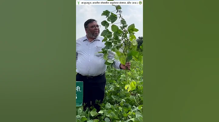 Soy variety RSC 10-46 having wider adaptability || IISR INDORE