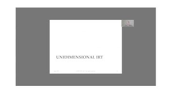 General Item Response Theory (IRT) Modeling Framework