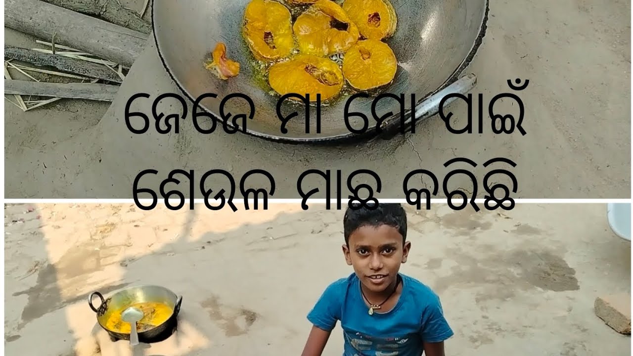 ଜେଜେ ମା ମୋ ପାଇଁ ଶେଉଳ ମାଛ କରିଛି ll ମୁଁ ବହୁତ ଖୁସି ll Blog ll my 1st blog friends. 