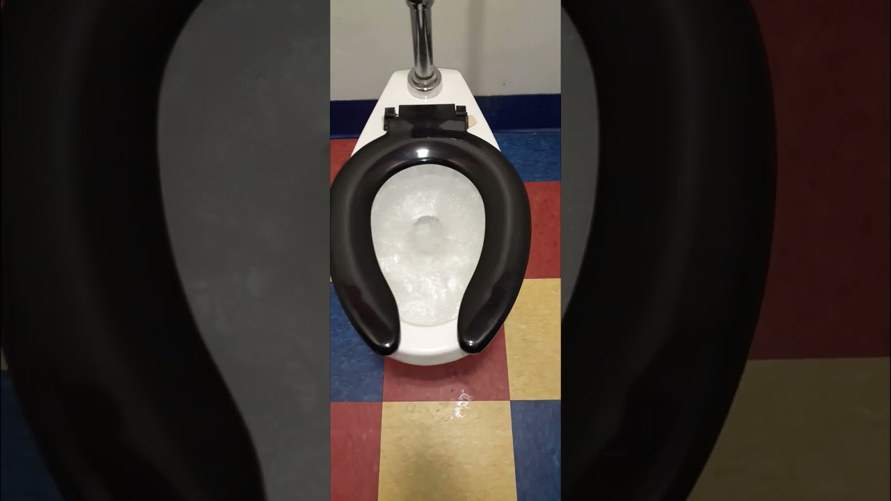 1980s Eljer Sanus at a library