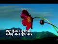 코스모스 길 김찬순 작사 김서영 작곡 소프라노 최향 알토 동아려