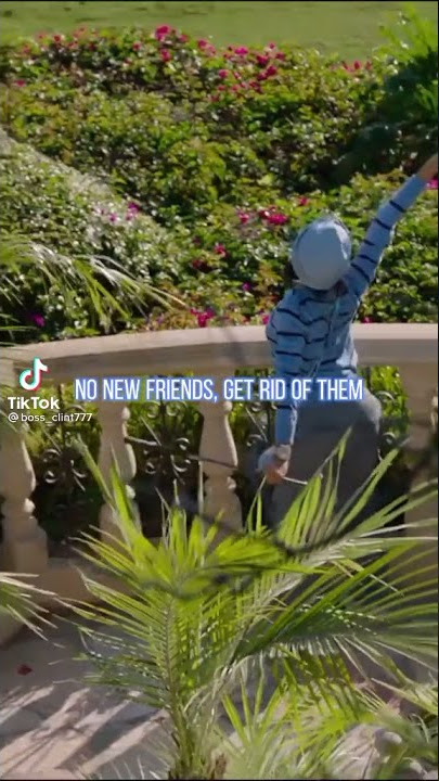 https://db-video.xyz/7521987212168762/ sign up to get a 10 US Dollar newcomer bonus!