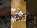 Destroyed jigsaw puzzle|reverse|oddly satisfying#shorts #satisfying #puzzle #harrypotter #jigsaw