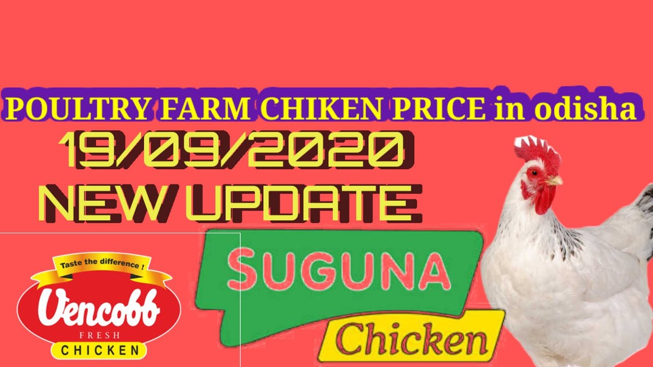 Poultry Farm Price Today In Odisha 19/09/20//Suguna Pasupati ven