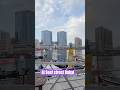 Good morning happy Friday from Al Seef street Dubai #alseefdubai #dubaivlog #shorts #travelvlog