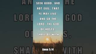 BIBLE VERSE MEDITATION VIDEOS.
