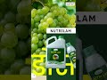 द्राक्ष बागेत Nutrilam + Dolsay चा अनुभव  | Farmer Testimonial @nutrifertagriinputspvtltd7945