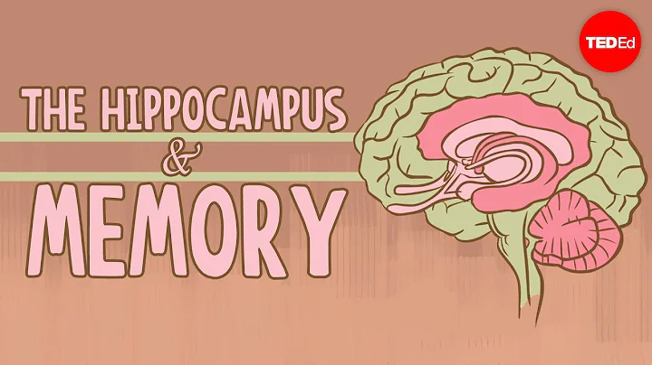 What happens when you remove the hippocampus? - Sam Kean