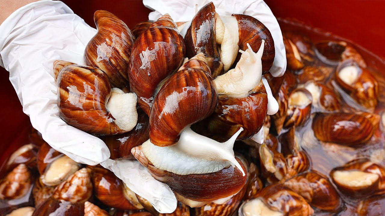 ⁣대한민국에서 처음보는 달팽이 강정? 달팽이 20만 마리를 직접 키워 만드는 달팽이 튀김┃crispy snail fries / Korean street food