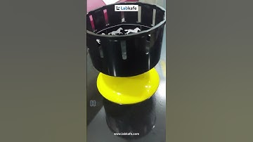 Mind Tricks! From Stillness to Motion - Understanding Visual Perception | Labkafe