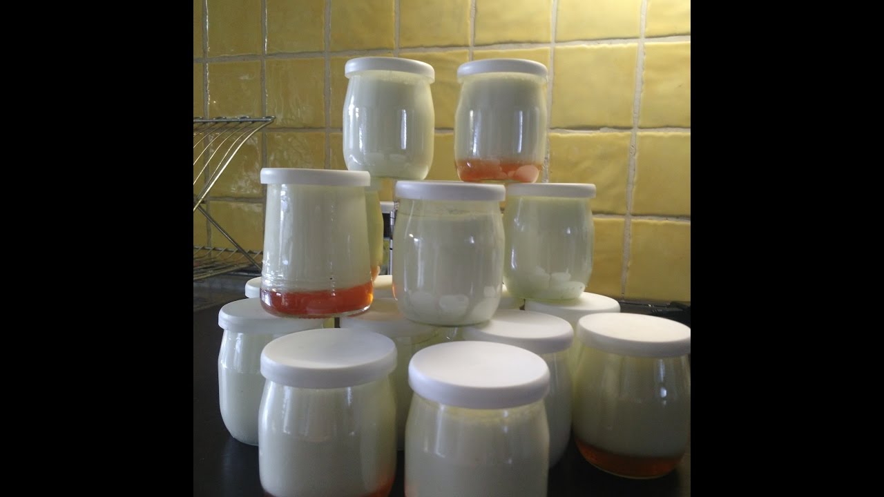 Comment Faire Yaourt Maison Sans Yaourtière | Ventana Blog