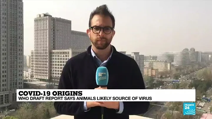 Covid-19 origins: WHO draft report says animals likely source of virus