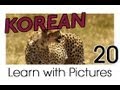 Learn Korean - Safari Animals Vocabulary