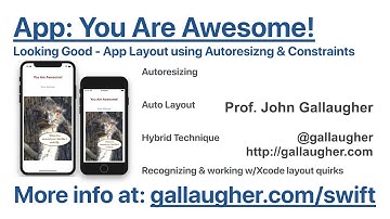 Ch. 2.7 Looking Good: App Layout, Auto Resizing, AutoLayout & Constraints   Swift Book v4