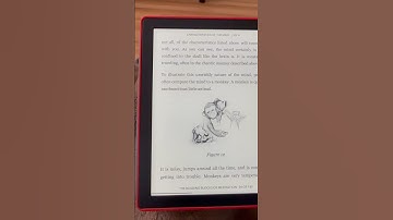 What Did Just Kobo Do? I Can’t Add Words to a List Anymore 🤦‍♀️