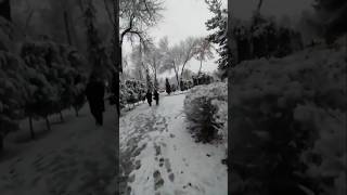 Snow in Tashkent 🇺🇿 Uzbekistan