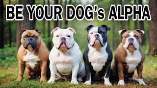 🔥 Alpha Dog Domination | Be Alpha To Your Dog 🔥