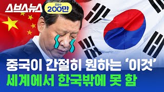 중국에서 기술 훔쳐 가고, 한국인 인재 데려가고, 수백조 원 쏟아부어도 한국이 100% 독점한 '이것' 근황 / 스브스뉴스