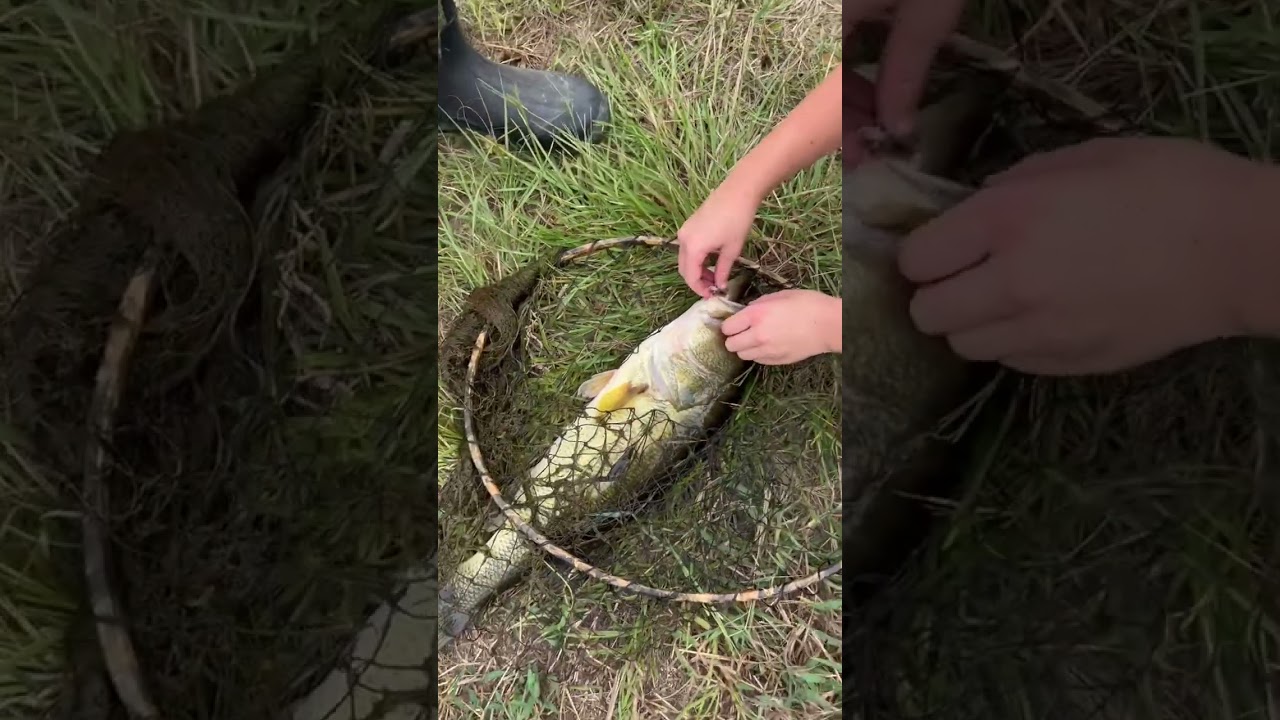 Fishing in local lake. (CAUGHT BIG BASS) @Adventures_with_Alan