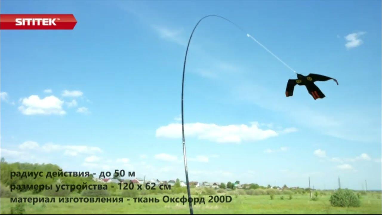 Динамический отпугиватель птиц "SITITEK Хищник" - YouTube