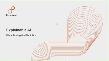 White boxing the Black box with Explainable AI