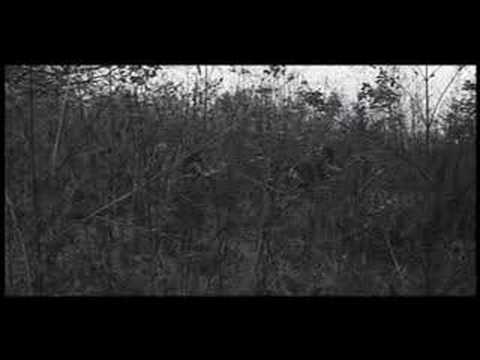Download Blackberry Winter Trailer Youtube