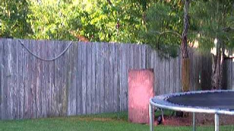 Proto slg psp ramp 14.5