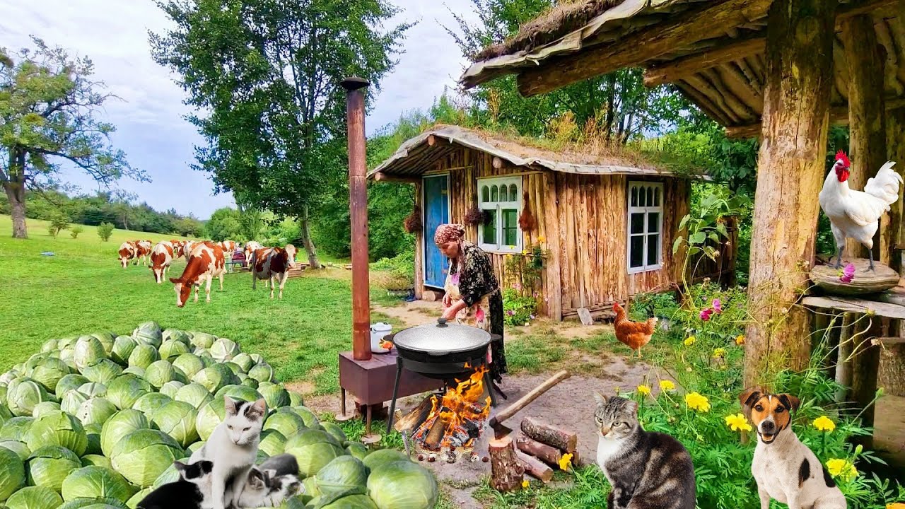 Бабушка Приготовила Жареную Капусту с Овощами на Садже.