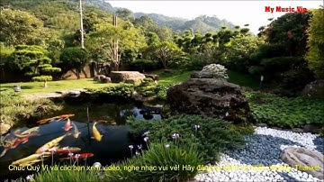 Hồ cá Koi đẹp với  Nhạc Tĩnh Tâm