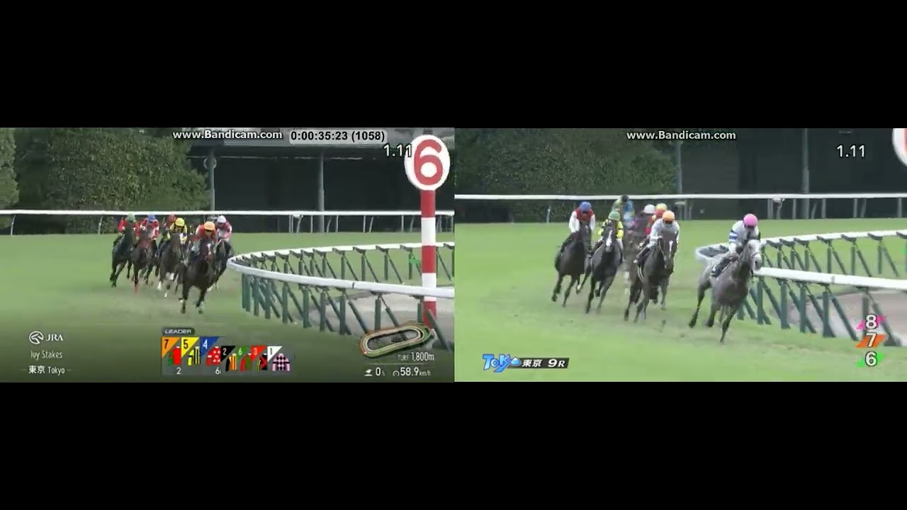 2025 アイビーS (アンドゥーリル)vs 2024 アイビーS (マスカレード 