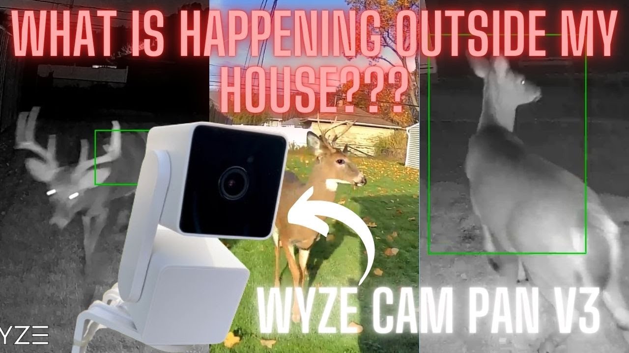 Smart Features of the Wyze Cam Pan V3 You Need to See