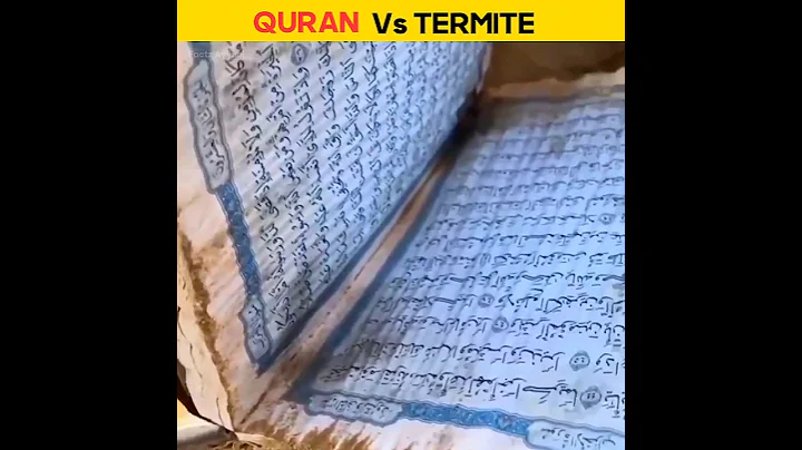 Quran vs Termite?🔥#shorts#islam#viral