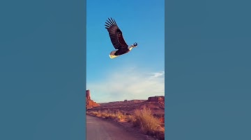 💐🍀ورد من سورة:الحديد 🍀💐(غسان الشوربجي)