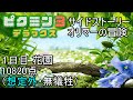 オリマーの冒険 1日目 花園 10820点(想定外・無犠牲)【ピクミン3DX / Switch】
