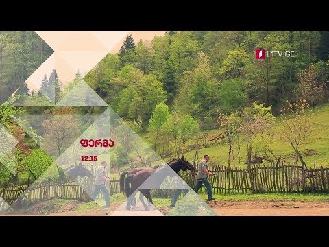 „ფერმა\" - 29 აპრილს, 12:15 საათზე