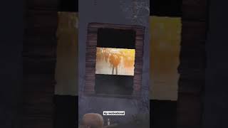 Ap Motivational Video