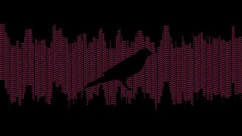 What is Kusama Network?