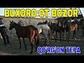 ARZON OT NARXLARI // БУХОРО ҚЎРҒОН БОЗОР