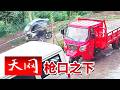 《天网》丈夫进山打猎一夜未归 一条诡异短信背后掩盖了什么血色秘密？20260519