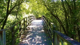 🇪🇸 🌳 Cambre ⇒ Culleredo (Ruta Templaria) (Tráiler) #Senderismo #Galicia #España