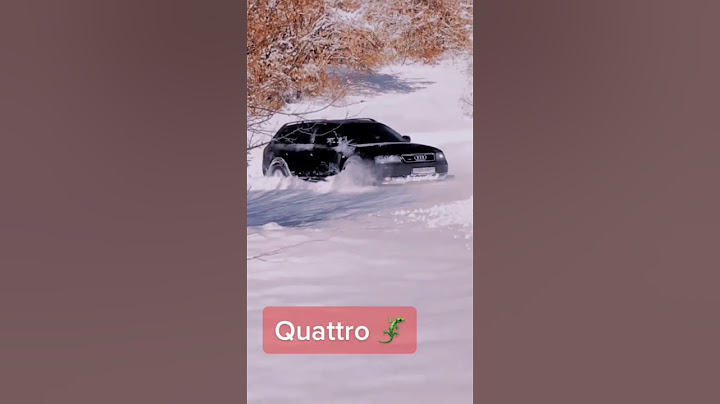 Stuck in snow? GET A QUATTRO (LIZARD POWER) #quattro #snow #power
