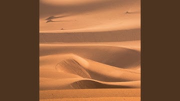 Timerki One I Couldn’t Save