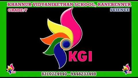 Grade V - Science - Chapter 2 - Animals Everywhere - Part 3 - 10-07-2020