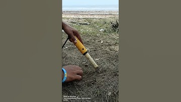 metal detecting with just a pinpointer #shorts#short #youtubeshorts#viral #viralvideo #trending