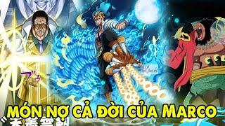 Kizaru, Rayleight, Akainu | Top 10 Đối Thủ Mạnh Nhất Marco Từng Đối Đầu