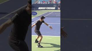 Andy Murray Forehand Super Slow Motion! #andymurray #tennis #shorts #murrayforehand