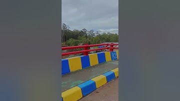 Pelabuhan Pomako Timika Papua