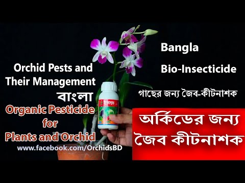 ভিডিও: অর্কিড রোগ এবং তাদের চিকিত্সা