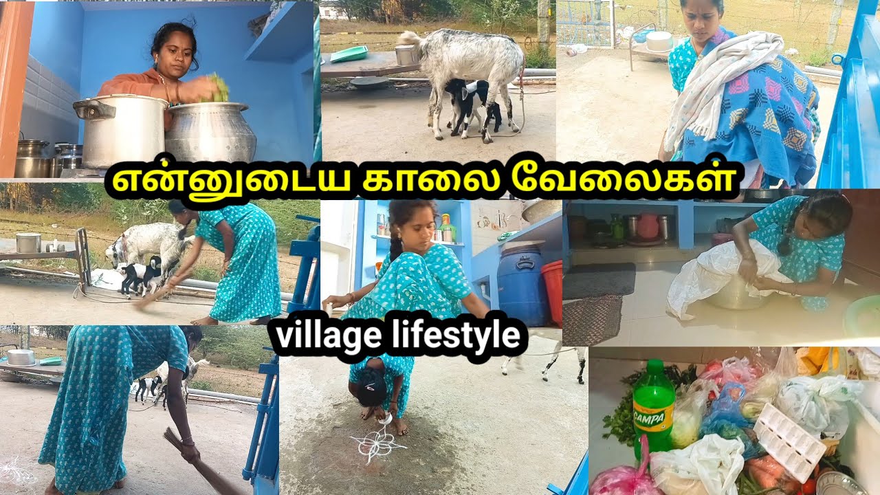 💫💖 என்னுடைய அழகான கிராமத்து வாழ்க்கை# traditional lifestyle #👩‍🍳cooking and cleaningvlog #tamilvlong